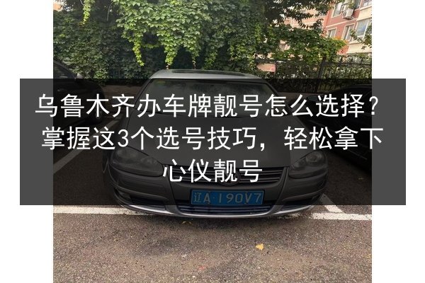 乌鲁木齐办车牌靓号怎么选择?掌握这3个选号技巧,轻松拿下心仪靓号 第2张 乌鲁木齐办车牌靓号怎么选择?掌握这3个选号技巧,轻松拿下心仪靓号 第2张