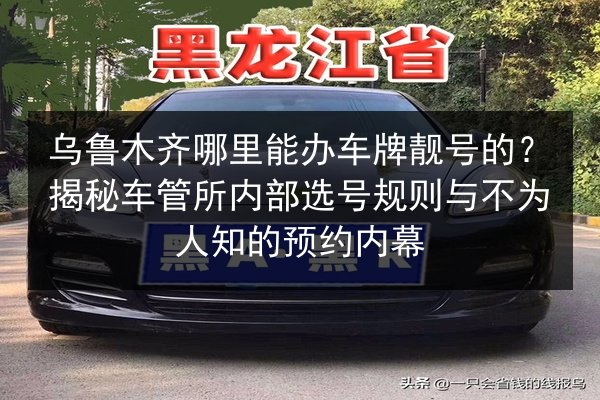 乌鲁木齐哪里能办车牌靓号的？揭秘车管所内部选号规则与不为人知的预约内幕 第2张