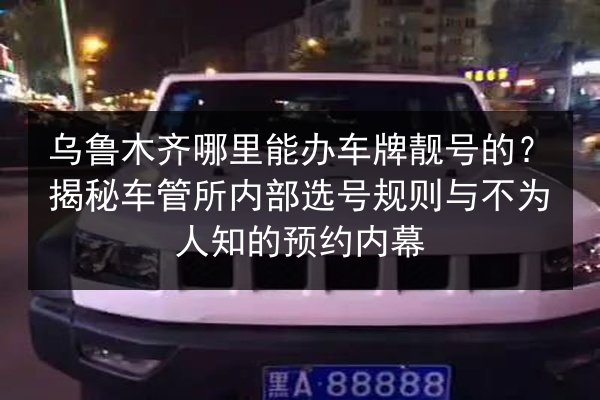 乌鲁木齐哪里能办车牌靓号的？揭秘车管所内部选号规则与不为人知的预约内幕 第3张