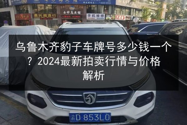 乌鲁木齐豹子车牌号多少钱一个？2024最新拍卖行情与价格解析 第2张