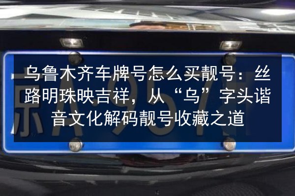 乌鲁木齐车牌号怎么买靓号：丝路明珠映吉祥，从“乌”字头谐音文化解码靓号收藏之道 第2张