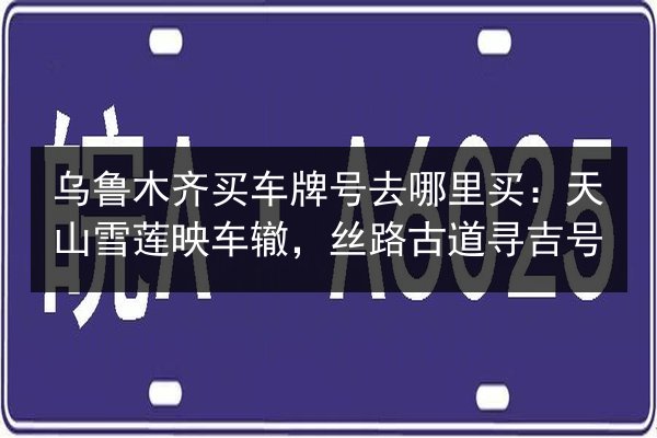 乌鲁木齐买车牌号去哪里买：天山雪莲映车辙，丝路古道寻吉号 第2张