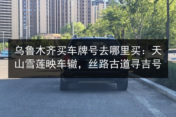 乌鲁木齐买车牌号去哪里买：天山雪莲映车辙，丝路古道寻吉号 第3张