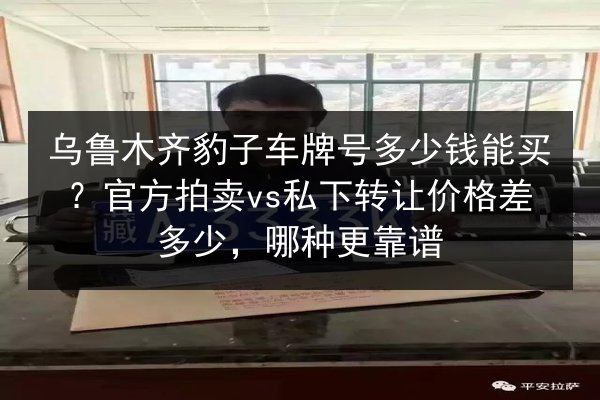 乌鲁木齐豹子车牌号多少钱能买？官方拍卖vs私下转让价格差多少，哪种更靠谱 第2张