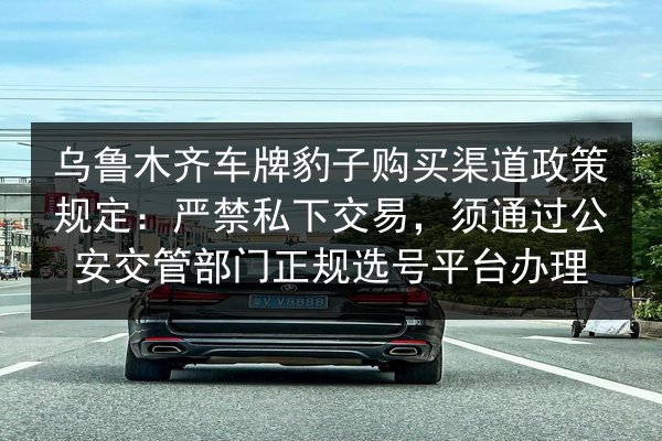 乌鲁木齐车牌豹子购买渠道政策规定：严禁私下交易，须通过公安交管部门正规选号平台办理 第2张