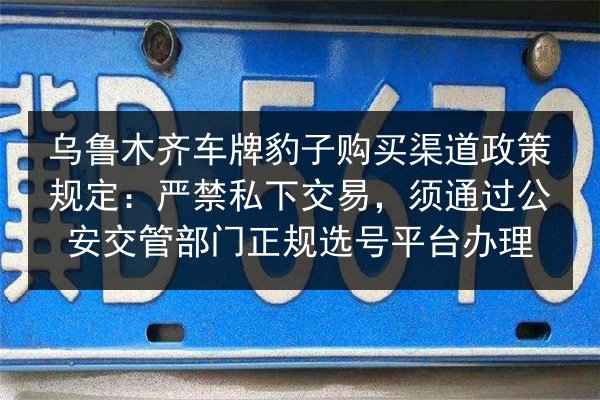 乌鲁木齐车牌豹子购买渠道政策规定：严禁私下交易，须通过公安交管部门正规选号平台办理 第3张