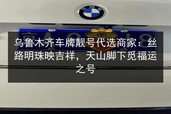 乌鲁木齐车牌靓号代选商家:丝路明珠映吉祥,天山脚下觅福运之号 第2张 乌鲁木齐车牌靓号代选商家:丝路明珠映吉祥,天山脚下觅福运之号 第2张