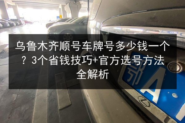 乌鲁木齐顺号车牌号多少钱一个?3个省钱技巧+官方选号方法全解析 第3张 乌鲁木齐顺号车牌号多少钱一个?3个省钱技巧+官方选号方法全解析 第3张