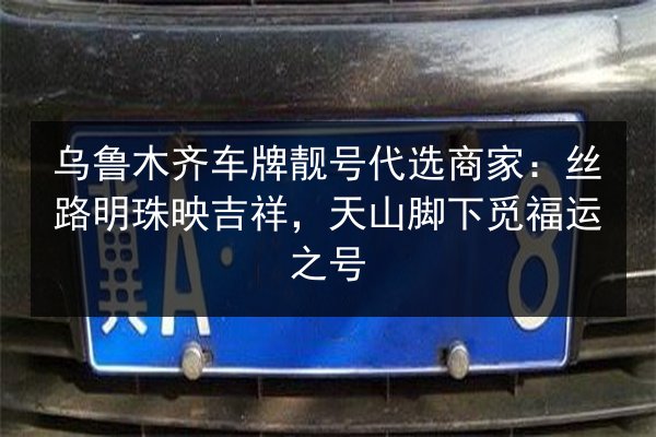 乌鲁木齐车牌靓号代选商家:丝路明珠映吉祥,天山脚下觅福运之号 第3张 乌鲁木齐车牌靓号代选商家:丝路明珠映吉祥,天山脚下觅福运之号 第3张