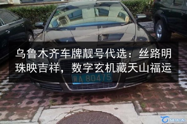 乌鲁木齐车牌靓号代选:丝路明珠映吉祥,数字玄机藏天山福运 第3张 乌鲁木齐车牌靓号代选:丝路明珠映吉祥,数字玄机藏天山福运 第3张
