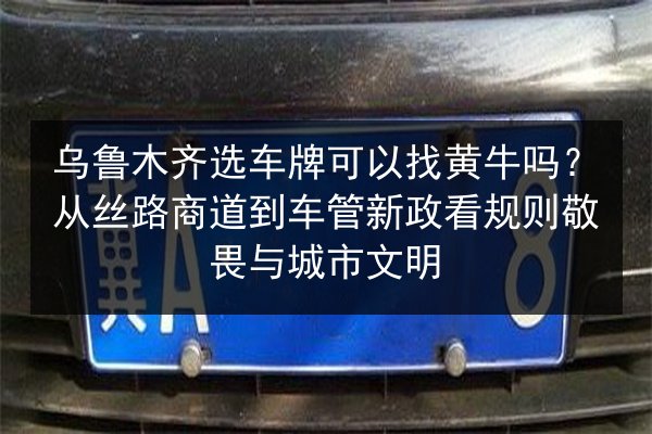 乌鲁木齐选车牌可以找黄牛吗？从丝路商道到车管新政看规则敬畏与城市文明 第3张