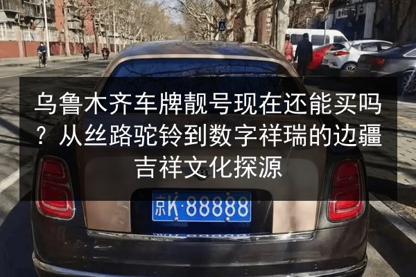 乌鲁木齐车牌靓号现在还能买吗？从丝路驼铃到数字祥瑞的边疆吉祥文化探源 第3张