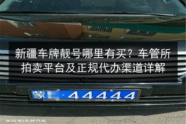 新疆车牌靓号哪里有买?车管所拍卖平台及正规代办渠道详解 第1张 新疆车牌靓号哪里有买?车管所拍卖平台及正规代办渠道详解 第1张