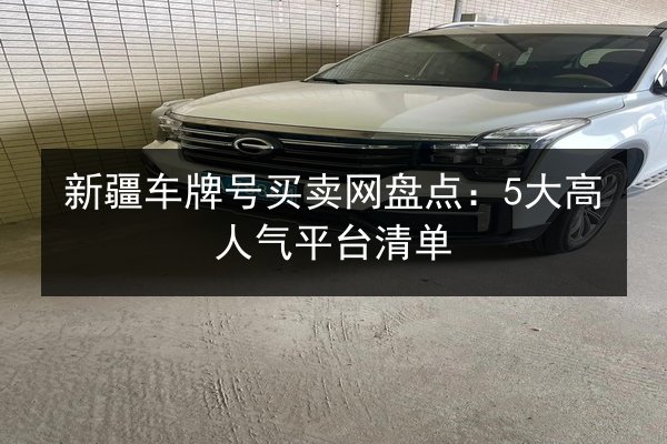 新疆车牌号买卖网盘点：5大高人气平台清单