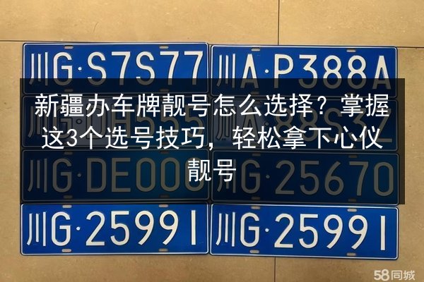 新疆办车牌靓号怎么选择?掌握这3个选号技巧,轻松拿下心仪靓号 第2张 新疆办车牌靓号怎么选择?掌握这3个选号技巧,轻松拿下心仪靓号 第2张