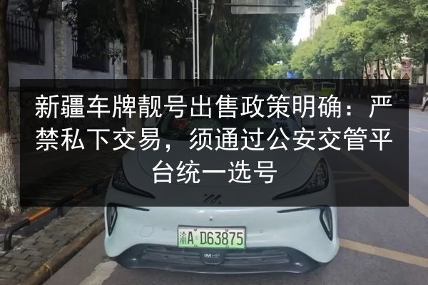 新疆车牌靓号出售政策明确:严禁私下交易,须通过公安交管平台统一选号 第2张 新疆车牌靓号出售政策明确:严禁私下交易,须通过公安交管平台统一选号 第2张