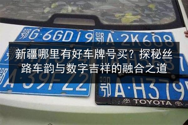 新疆哪里有好车牌号买?探秘丝路车韵与数字吉祥的融合之道 第2张 新疆哪里有好车牌号买?探秘丝路车韵与数字吉祥的融合之道 第2张