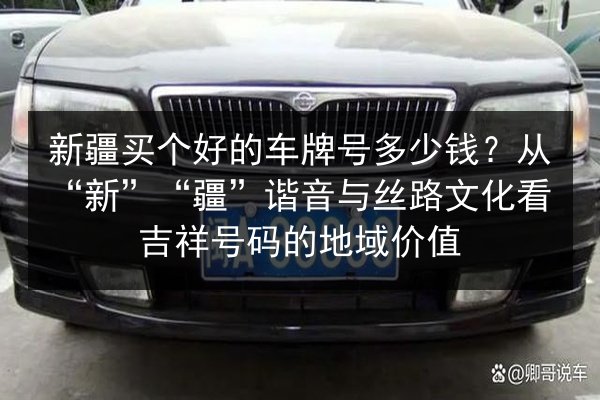 新疆买个好的车牌号多少钱?从“新”“疆”谐音与丝路文化看吉祥号码的地域价值 第3张 新疆买个好的车牌号多少钱?从“新”“疆”谐音与丝路文化看吉祥号码的地域价值 第3张