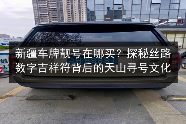 新疆车牌靓号在哪买？探秘丝路数字吉祥符背后的天山寻号文化 第2张