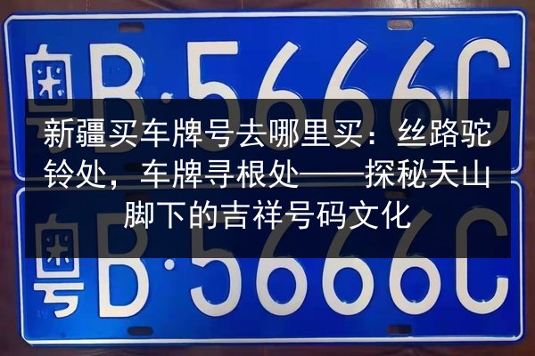 新疆买车牌号去哪里买：丝路驼铃处，车牌寻根处——探秘天山脚下的吉祥号码文化 第3张