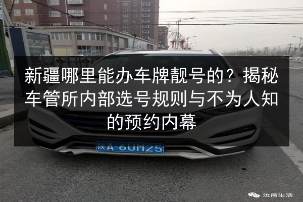 新疆哪里能办车牌靓号的？揭秘车管所内部选号规则与不为人知的预约内幕 第2张