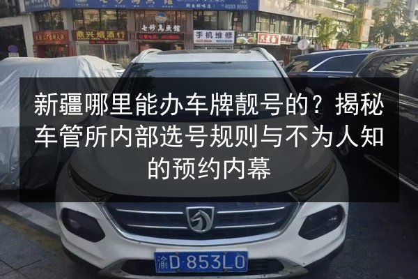 新疆哪里能办车牌靓号的？揭秘车管所内部选号规则与不为人知的预约内幕 第3张