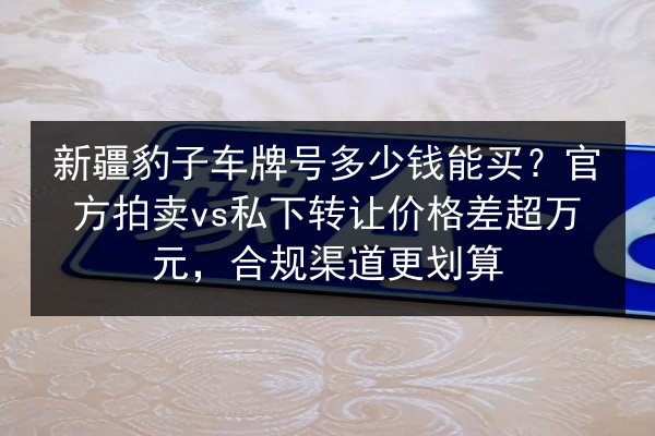 新疆豹子车牌号多少钱能买？官方拍卖vs私下转让价格差超万元，合规渠道更划算 第3张