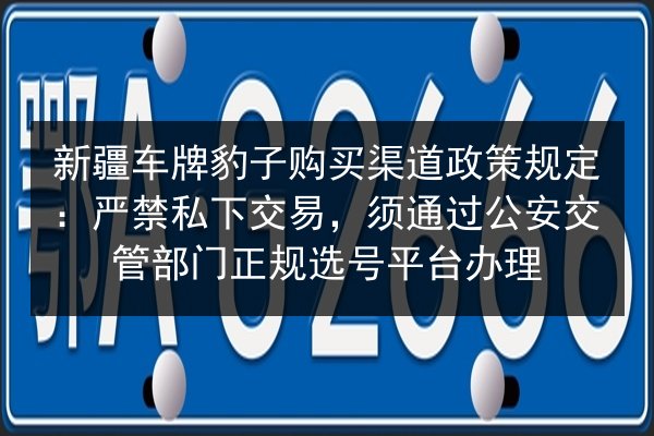 新疆车牌豹子购买渠道政策规定:严禁私下交易,须通过公安交管部门正规选号平台办理 第3张 新疆车牌豹子购买渠道政策规定:严禁私下交易,须通过公安交管部门正规选号平台办理 第3张