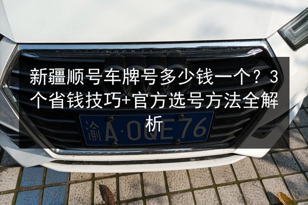 新疆顺号车牌号多少钱一个？3个省钱技巧+官方选号方法全解析 第3张