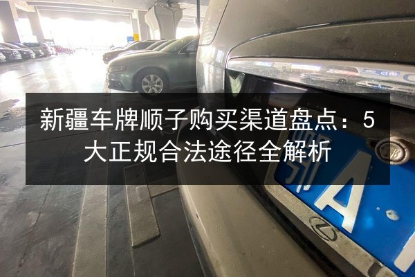 新疆车牌顺子购买渠道盘点:5大正规合法途径全解析 第2张 新疆车牌顺子购买渠道盘点:5大正规合法途径全解析 第2张