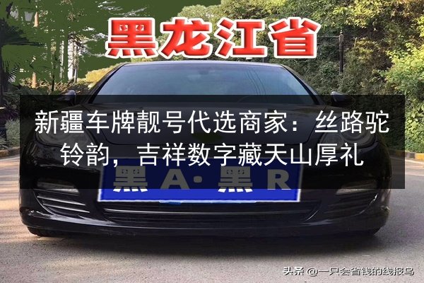 新疆车牌靓号代选商家:丝路驼铃韵,吉祥数字藏天山厚礼 第2张 新疆车牌靓号代选商家:丝路驼铃韵,吉祥数字藏天山厚礼 第2张