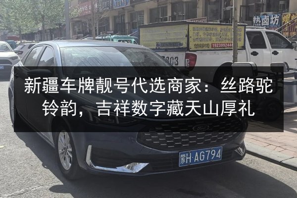 新疆车牌靓号代选商家:丝路驼铃韵,吉祥数字藏天山厚礼 第3张 新疆车牌靓号代选商家:丝路驼铃韵,吉祥数字藏天山厚礼 第3张