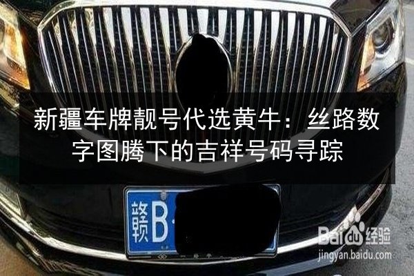新疆车牌靓号代选黄牛：丝路数字图腾下的吉祥号码寻踪 第2张