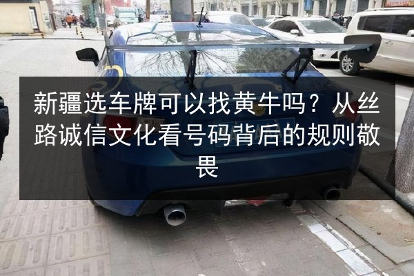 新疆选车牌可以找黄牛吗?从丝路诚信文化看号码背后的规则敬畏 第2张 新疆选车牌可以找黄牛吗?从丝路诚信文化看号码背后的规则敬畏 第2张