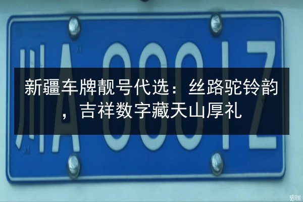 新疆车牌靓号代选：丝路驼铃韵，吉祥数字藏天山厚礼 第2张