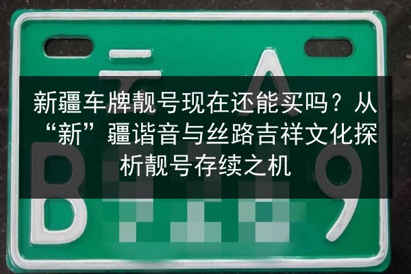 新疆车牌靓号现在还能买吗？从“新”疆谐音与丝路吉祥文化探析靓号存续之机 第3张