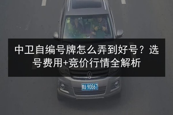中卫自编号牌怎么弄到好号?选号费用+竞价行情全解析 第2张 中卫自编号牌怎么弄到好号?选号费用+竞价行情全解析 第2张