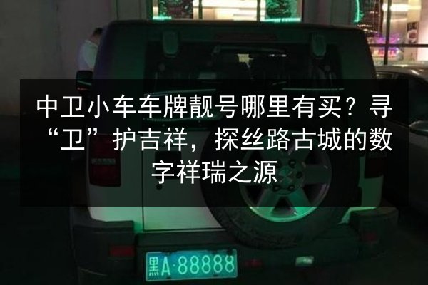 中卫小车车牌靓号哪里有买？寻“卫”护吉祥，探丝路古城的数字祥瑞之源 第2张