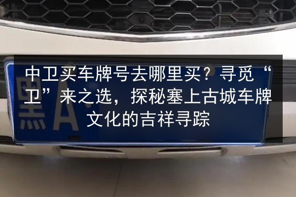 中卫买车牌号去哪里买?寻觅“卫”来之选,探秘塞上古城车牌文化的吉祥寻踪 第3张 中卫买车牌号去哪里买?寻觅“卫”来之选,探秘塞上古城车牌文化的吉祥寻踪 第3张