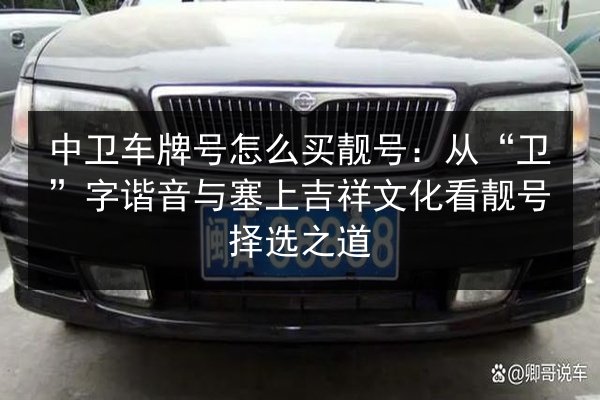 中卫车牌号怎么买靓号：从“卫”字谐音与塞上吉祥文化看靓号择选之道 第2张