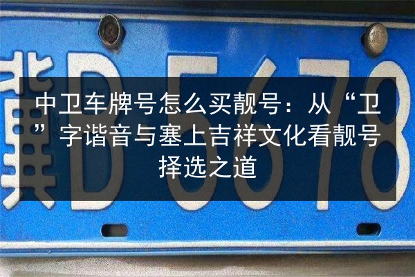 中卫车牌号怎么买靓号：从“卫”字谐音与塞上吉祥文化看靓号择选之道 第3张