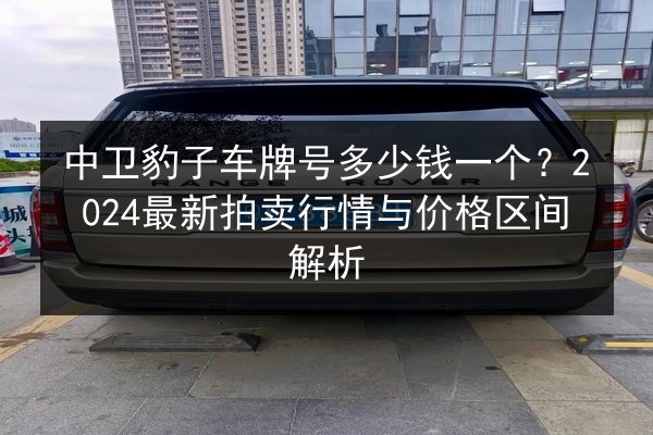 中卫豹子车牌号多少钱一个？2024最新拍卖行情与价格区间解析 第2张