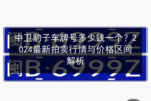 中卫豹子车牌号多少钱一个？2024最新拍卖行情与价格区间解析 第3张