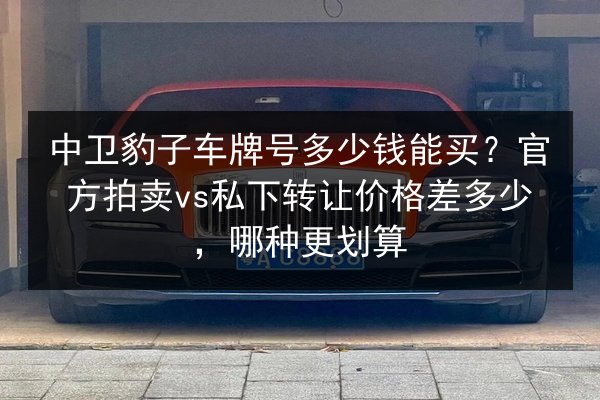 中卫豹子车牌号多少钱能买?官方拍卖vs私下转让价格差多少,哪种更划算 第3张 中卫豹子车牌号多少钱能买?官方拍卖vs私下转让价格差多少,哪种更划算 第3张