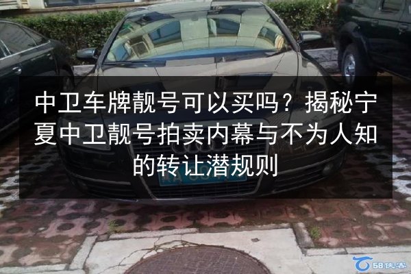 中卫车牌靓号可以买吗？揭秘宁夏中卫靓号拍卖内幕与不为人知的转让潜规则 第1张