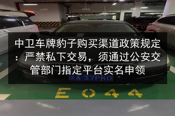 中卫车牌豹子购买渠道政策规定:严禁私下交易,须通过公安交管部门指定平台实名申领 第3张 中卫车牌豹子购买渠道政策规定:严禁私下交易,须通过公安交管部门指定平台实名申领 第3张