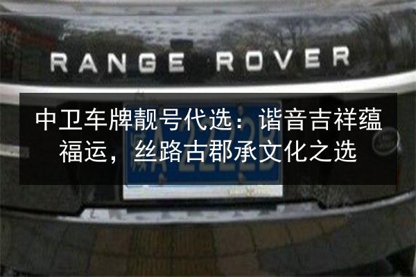 中卫车牌靓号代选：谐音吉祥蕴福运，丝路古郡承文化之选