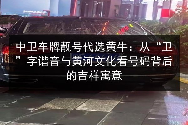 中卫车牌靓号代选黄牛：从“卫”字谐音与黄河文化看号码背后的吉祥寓意 第2张