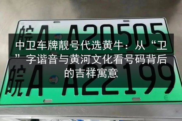 中卫车牌靓号代选黄牛：从“卫”字谐音与黄河文化看号码背后的吉祥寓意 第3张