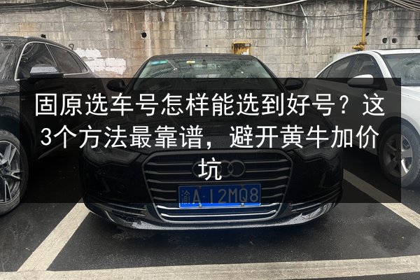 固原选车号怎样能选到好号？这3个方法最靠谱，避开黄牛加价坑